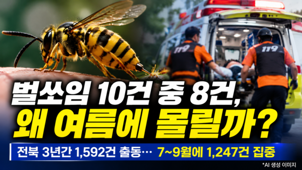벌쏘임 10건 중 8건, 왜 7~9월에 몰릴까?